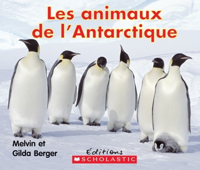 Les animaux de l’Antarctique