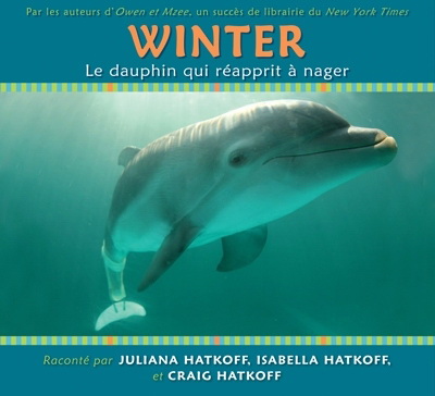 Winter, le dauphin qui réapprit à nager