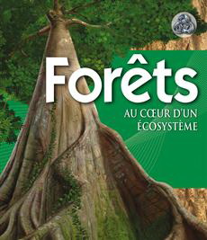 Forêts, au coeur d’un écosystème