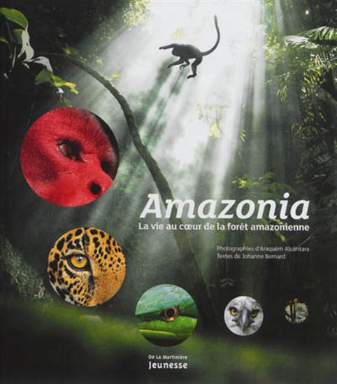 Amazonia, la vie au coeur de la forêt amazonienne