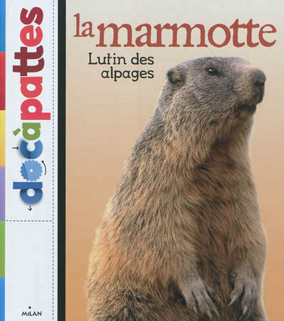 La marmotte : lutin des alpages