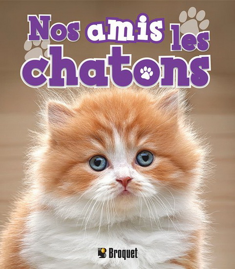 Nos amis les chatons